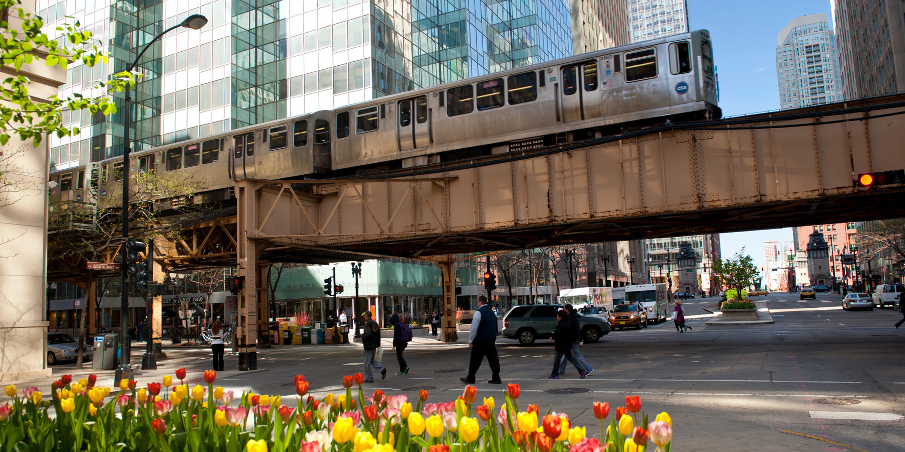 Rebuilding Trust in Public Institutions